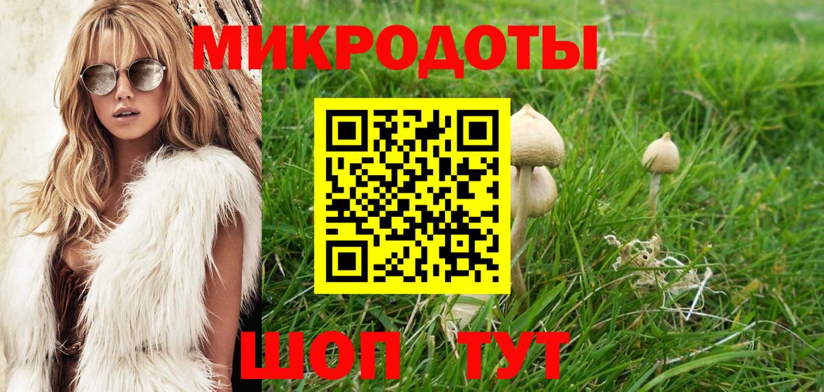 Галлюциногенные грибы Cubensis Борзя